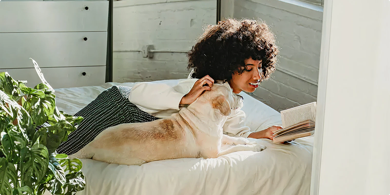 Pet Owners: Improve the Air Quality in Your Home