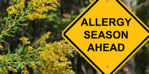Allergies? Banish Pollen from Your Home This Spring