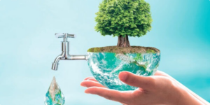 6 Eco-Friendly Plumbing Tips for Earth Day
