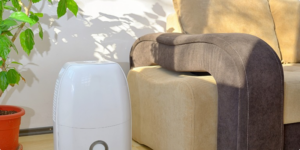 Do You Need a Dehumidifier in Your Florida Home?