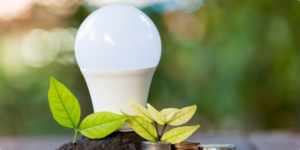 Should You Make the Switch to LED Lighting?