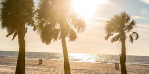 Still Scorching: Save Big this Fall with These Energy-Saving Tips