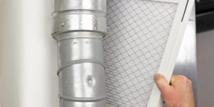 Recognizing and Combating Pests in Your HVAC System