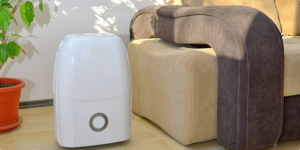 Mold-and-Mildew-—-Preventing-These-Home-Issues-in-Humid-Climates