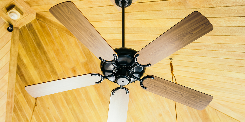 Maximize-Comfort-and-Save-Money-with-Ceiling-Fans_-The-Naples-Homeowners-Guide