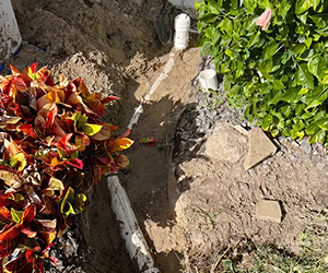 $99 Drain Clearing Service