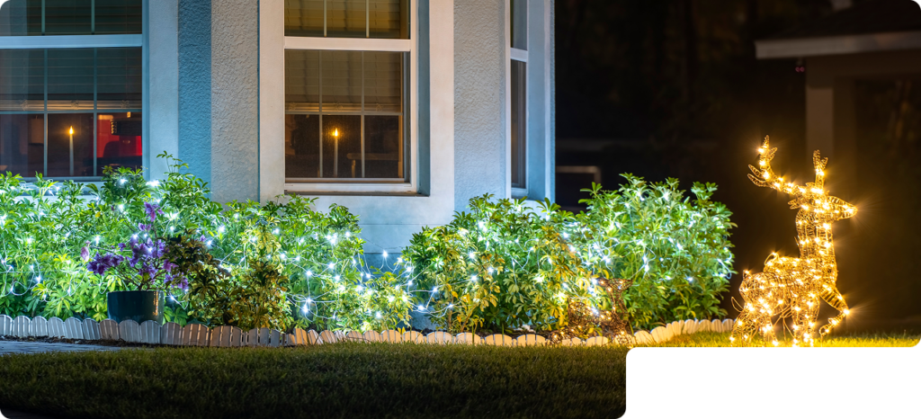 Holiday Lighting Services
