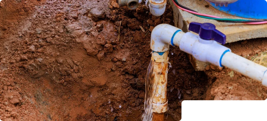 Leak Detection Services in Fort Myers, Naples, and Across Southwest, FL